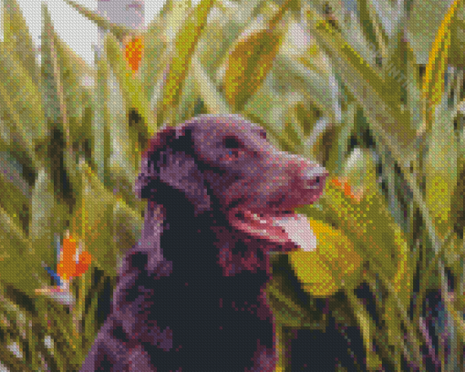 Flat Coated Retriever Pet Diamond Paintings