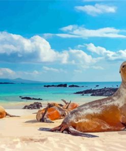 Galapagos Sea Lion By Beach Diamond Paintings