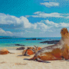 Galapagos Sea Lion By Beach Diamond Paintings