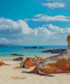 Galapagos Sea Lion By Beach Diamond Paintings