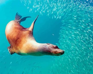 Galapagos Sea Lion Underwater Diamond Paintings