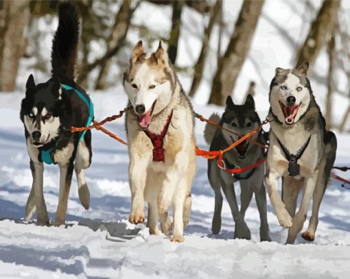 Huskies Sled Dogs Diamond Paintings