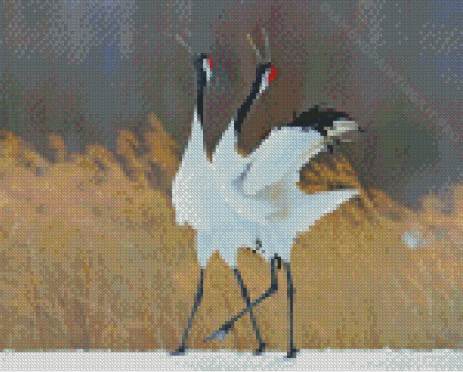 Japanese Cranes Diamond Paintings