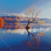 Lake Wanaka Diamond Paintings