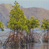 Mangrove Trees Diamond Paintings