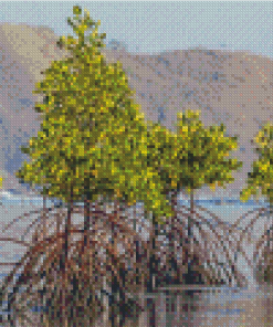 Mangrove Trees Diamond Paintings