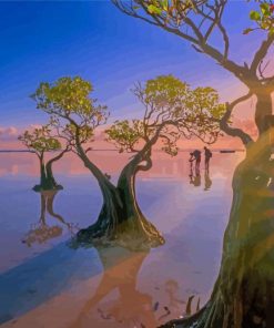 Mangrove Trees Sunrise Scene Diamond Paintings