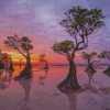 Mangrove Trees Susnet Scene Diamond Paintings