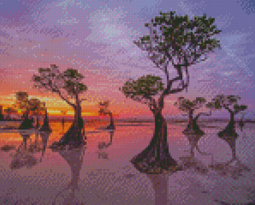 Mangrove Trees Susnet Scene Diamond Paintings