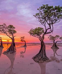 Mangrove Trees Susnet Scene Diamond Paintings