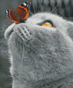 Monochrome Cat With Butterfly On Nose Diamond Paintings