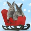 Two Christmas Bunnies In A Toy Sledge Diamond Paintings