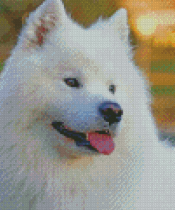 White Fluffy Dog Diamond Paintings