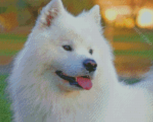 White Fluffy Dog Diamond Paintings