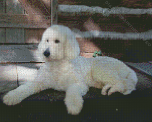 White Golden Doodle Diamond Paintings