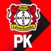 Bayer Leverkusen FC Logo Diamond Painting