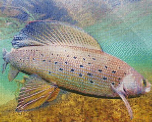 Big Arctic Grayling Fish Diamond Painting