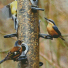 Birds At Bird Feeder Diamond Painting