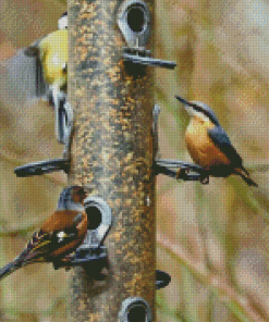 Birds At Bird Feeder Diamond Painting