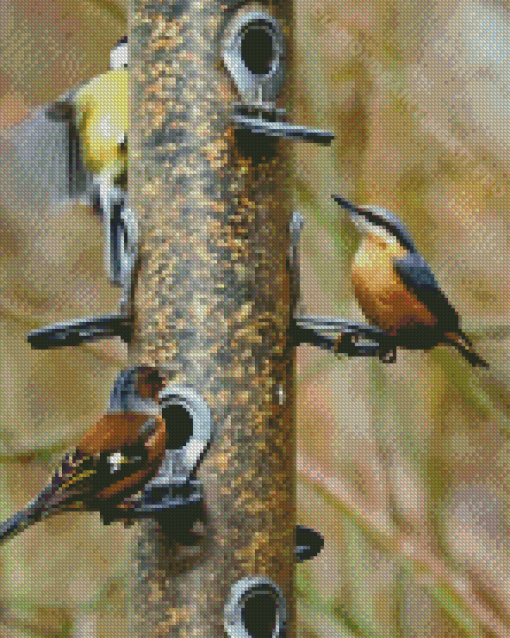 Birds At Bird Feeder Diamond Painting