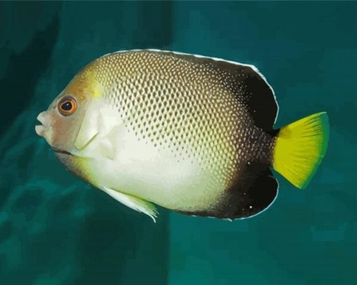 Cream Angelfish Diamond Painting