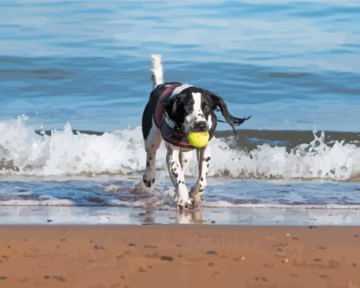 Dog Playing In The Beach Diamond Painting