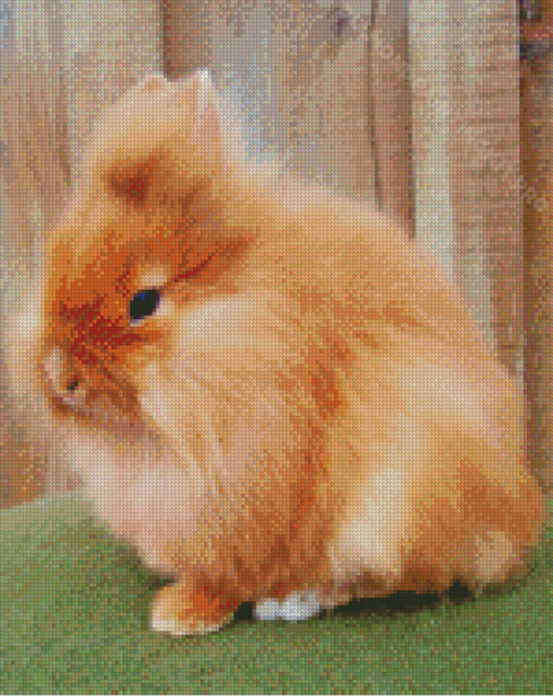 Fluffy Lionhead Rabbit Diamond Painting