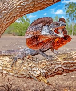 Frill Necked Lizard Animal Diamond Painting