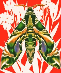 Hawk Moth Diamond Painting
