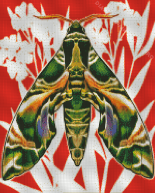 Hawk Moth Diamond Painting