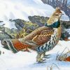 Ruffed Grouse Bird Diamond Painting