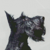 Scottish Terrier Dog Side View Diamond Painting