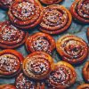 Swedish Cinnamon Buns Diamond Painting