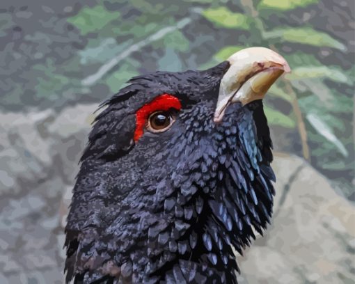 Western Capercaillie Head Diamond Painting