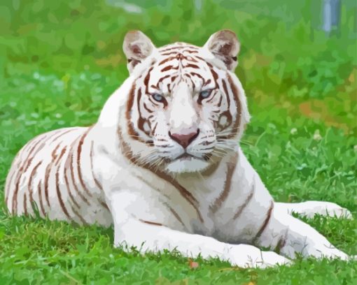 Albino Tiger Diamond Painting