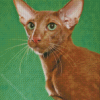 Brown Oriental Cat Diamond Painting