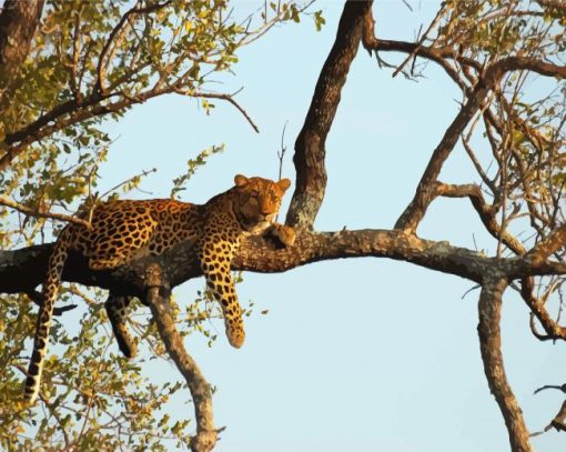 Leopard In Tree Diamond Painting