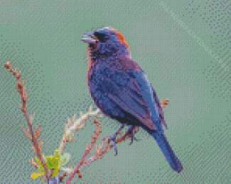 Purple Bird Diamond Painting