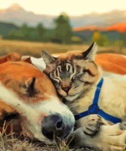 Sleepy Dog And Cat Together Diamond Painting