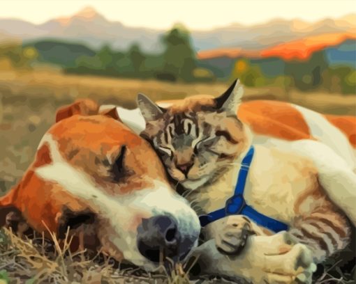 Sleepy Dog And Cat Together Diamond Painting