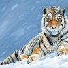 Tiger In The Snow Diamond Painting