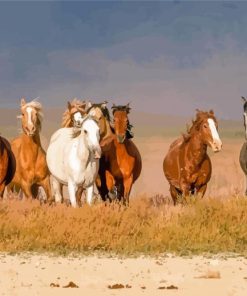 Wild Mustangs Animals Diamond Painting