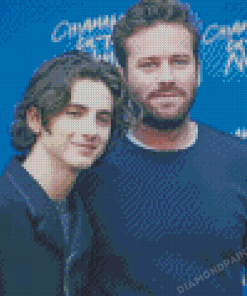 Timothee Chalamet And Armie Hammer diamond painting