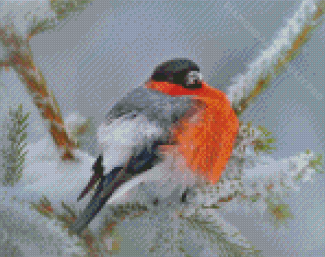Aesthetic Bullfinch Bird Diamond Painting