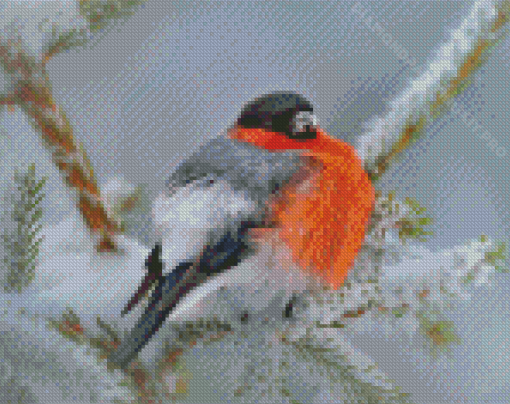 Aesthetic Bullfinch Bird Diamond Painting
