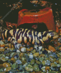 Ambystoma Tiger Salamander Diamond Painting