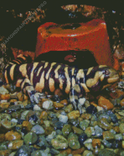 Ambystoma Tiger Salamander Diamond Painting