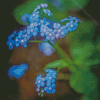 Blue Wildflowers Diamond Paintings