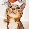 Cute Cat Shower Diamond Painting