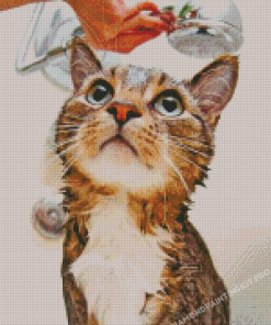 Cute Cat Shower Diamond Painting